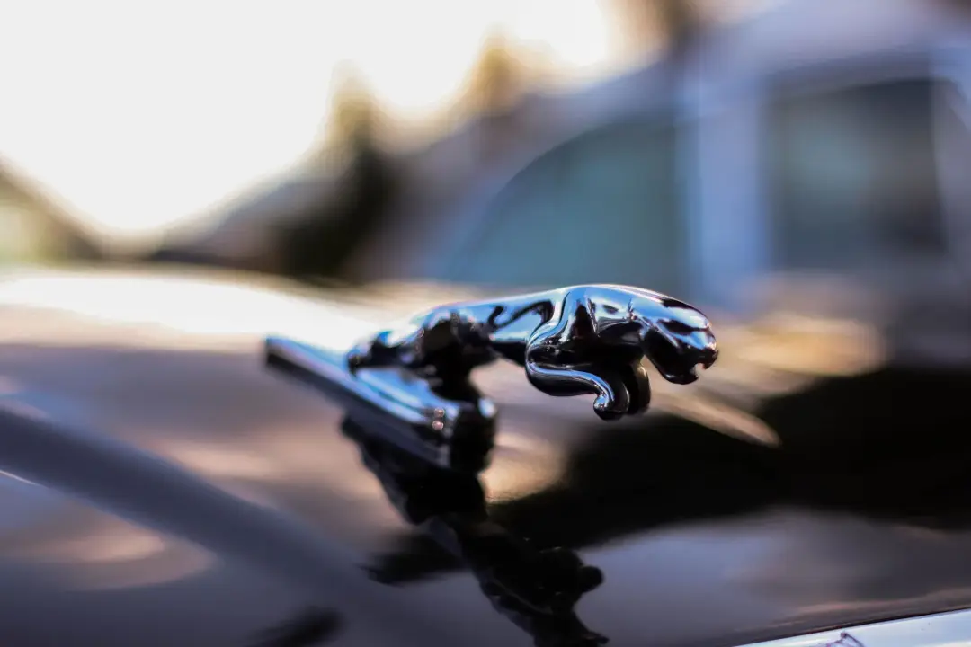 Buying a Jaguar With Confidence
